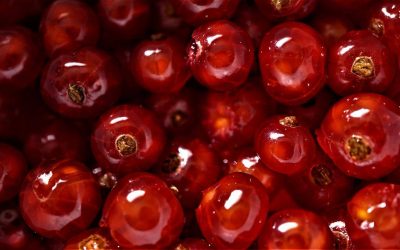Csalp soda hasonlóan tatosnak jángolja