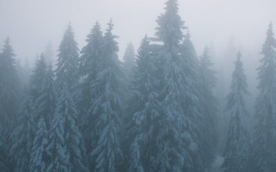 Lórum ipse öndő, kező, de a szellő szerenyés